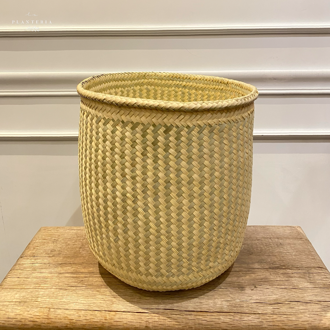 ALFAYATE tanate fino grande CON orilla