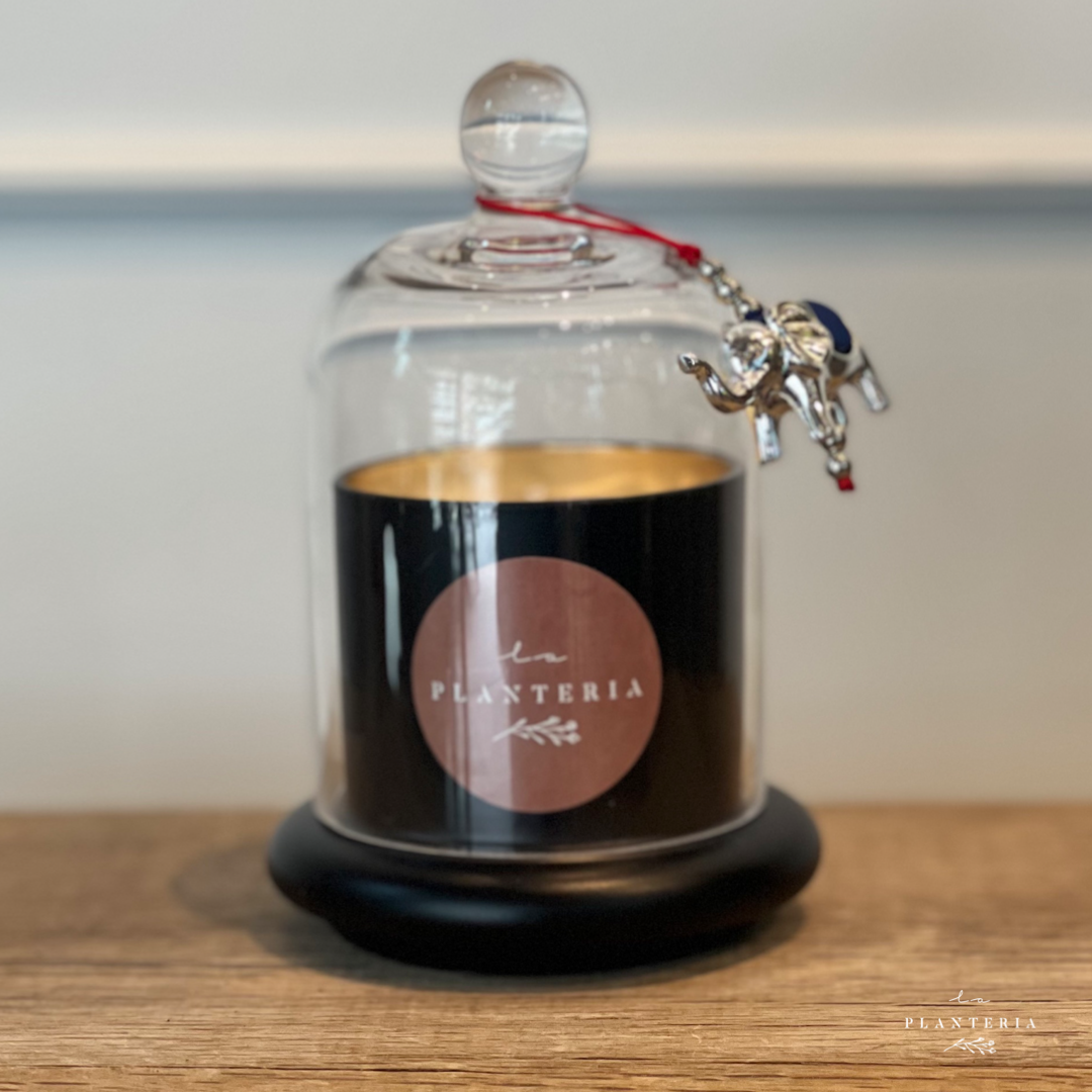 Black fine candle ch HOPE