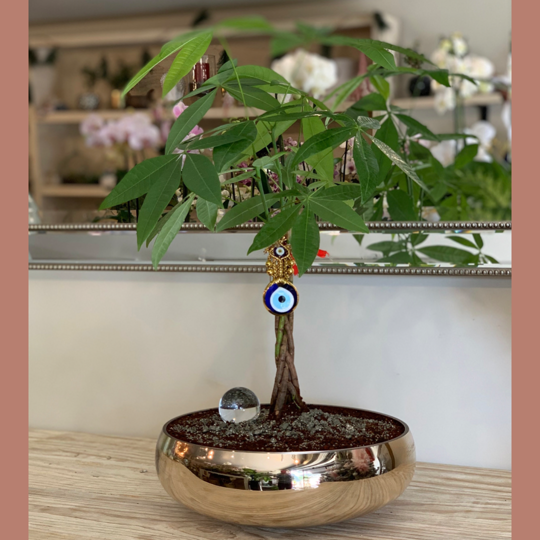 Gold money tree + ojo turco y bola de cristal