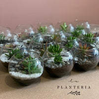 Memories (5744064725142)