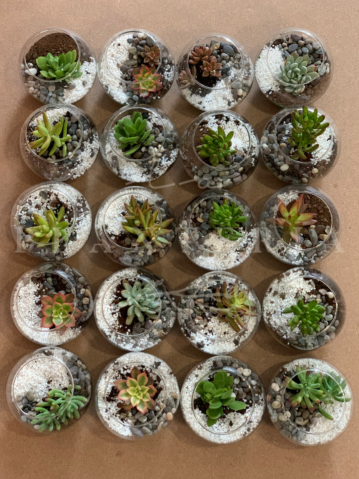 Memories (5744064725142)