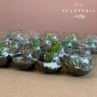 Memories (5744064725142)