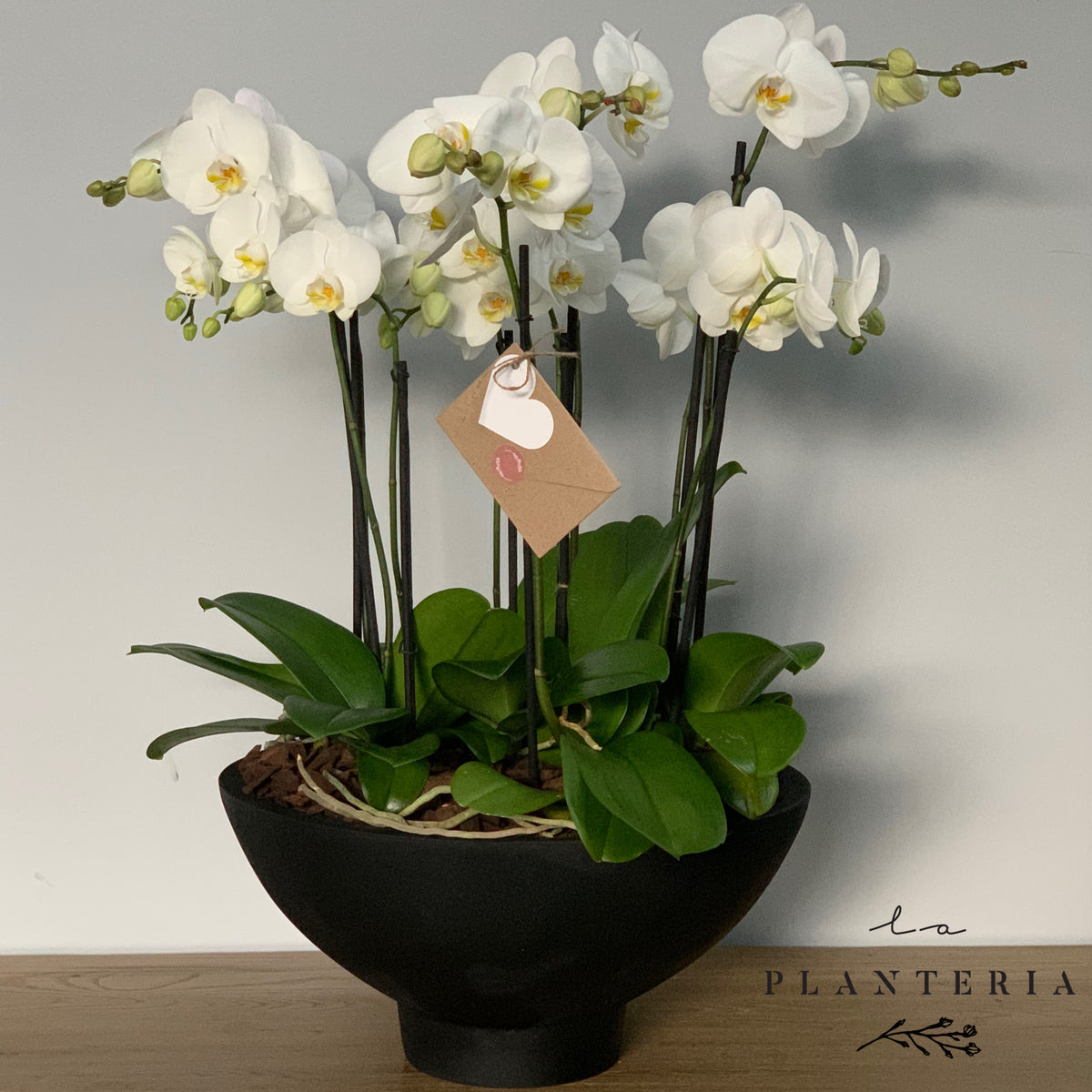 The Big One Mixed (5744083337366)