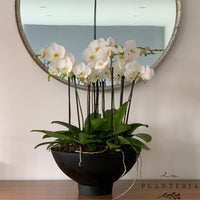 The Big One Mixed (5744083337366)