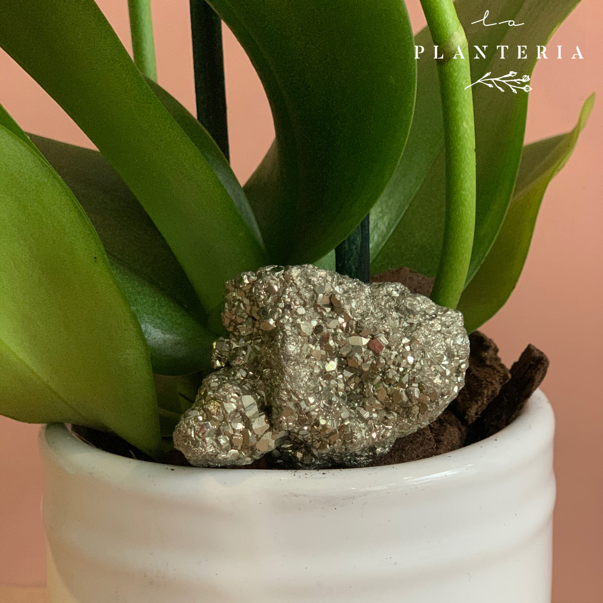 Basic mini (5744120758422)