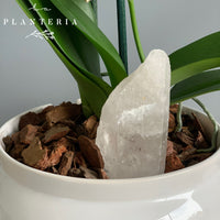 The Soup Plate + White Quartz + Name (5744135438486)