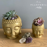 Gold Budas (5744126296214)