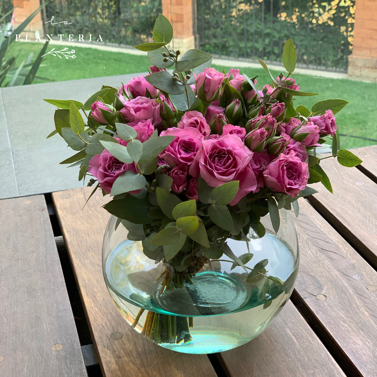 mini rosas en pecera (6674079875266)