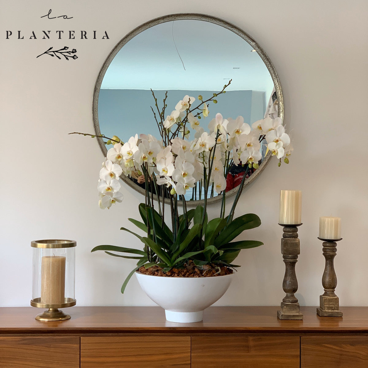 The Big One (5743950299286)