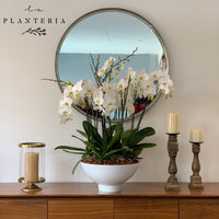 The Big One (5743950299286)