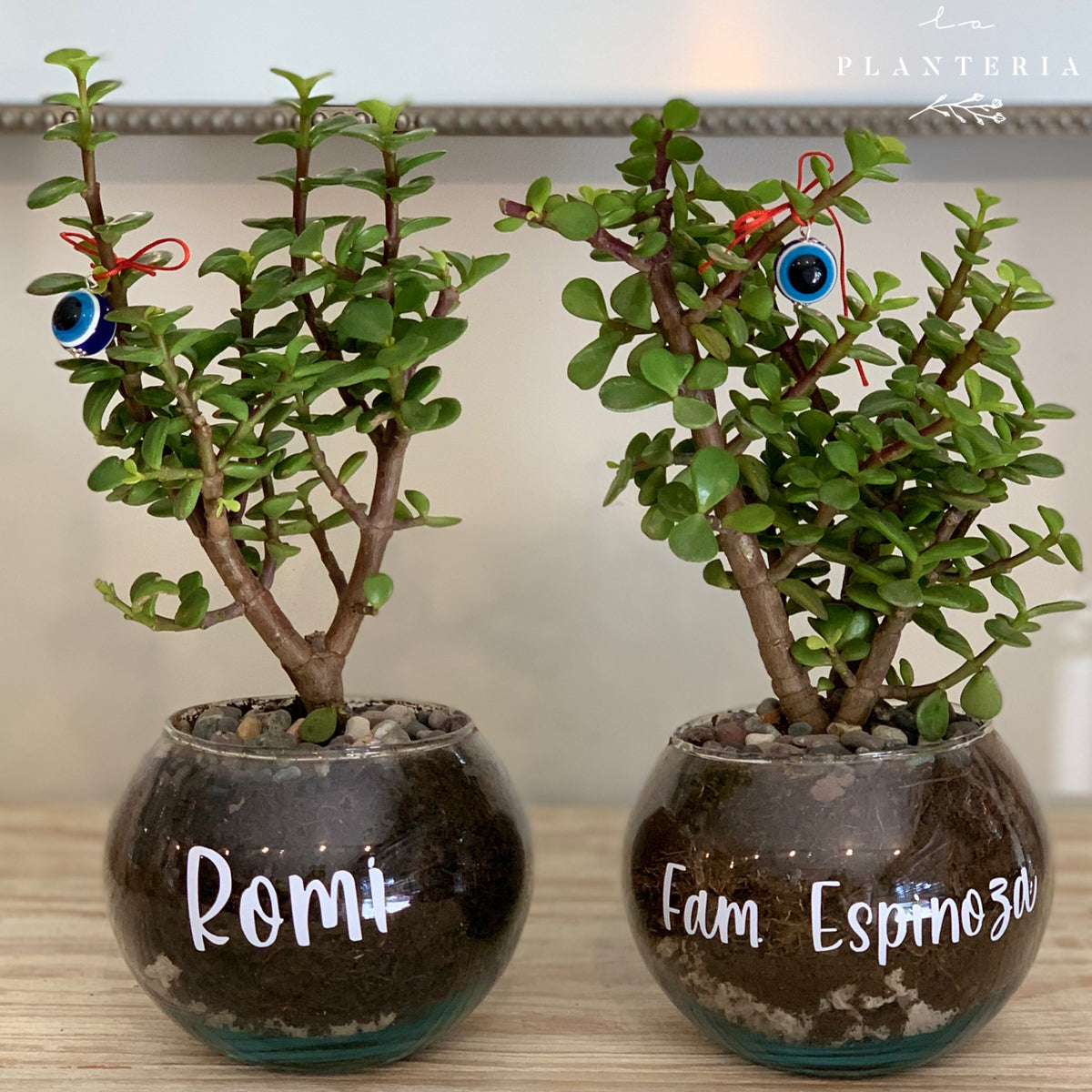 Glass fullness (6146879226050)