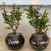 Glass fullness (6146879226050)