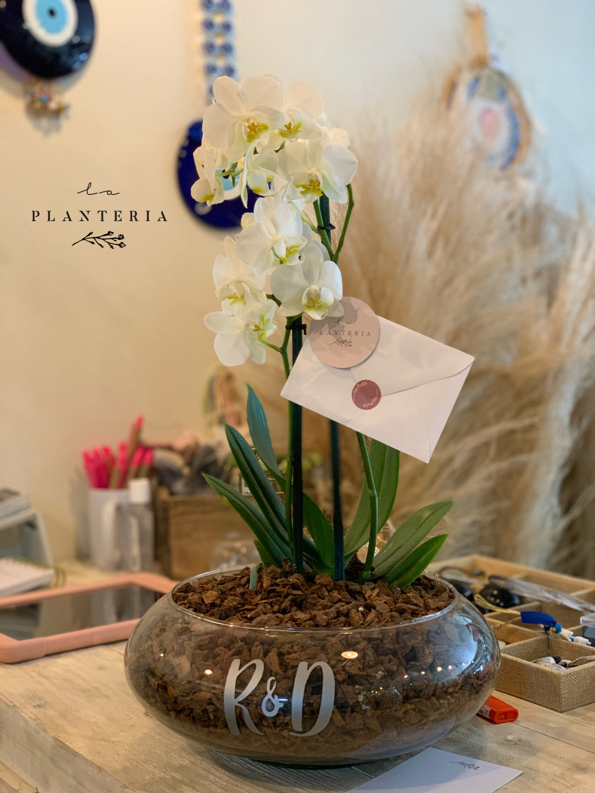 One cup (5795042754710)