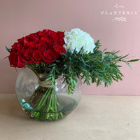 48 & more red, white, green (5779285868694)