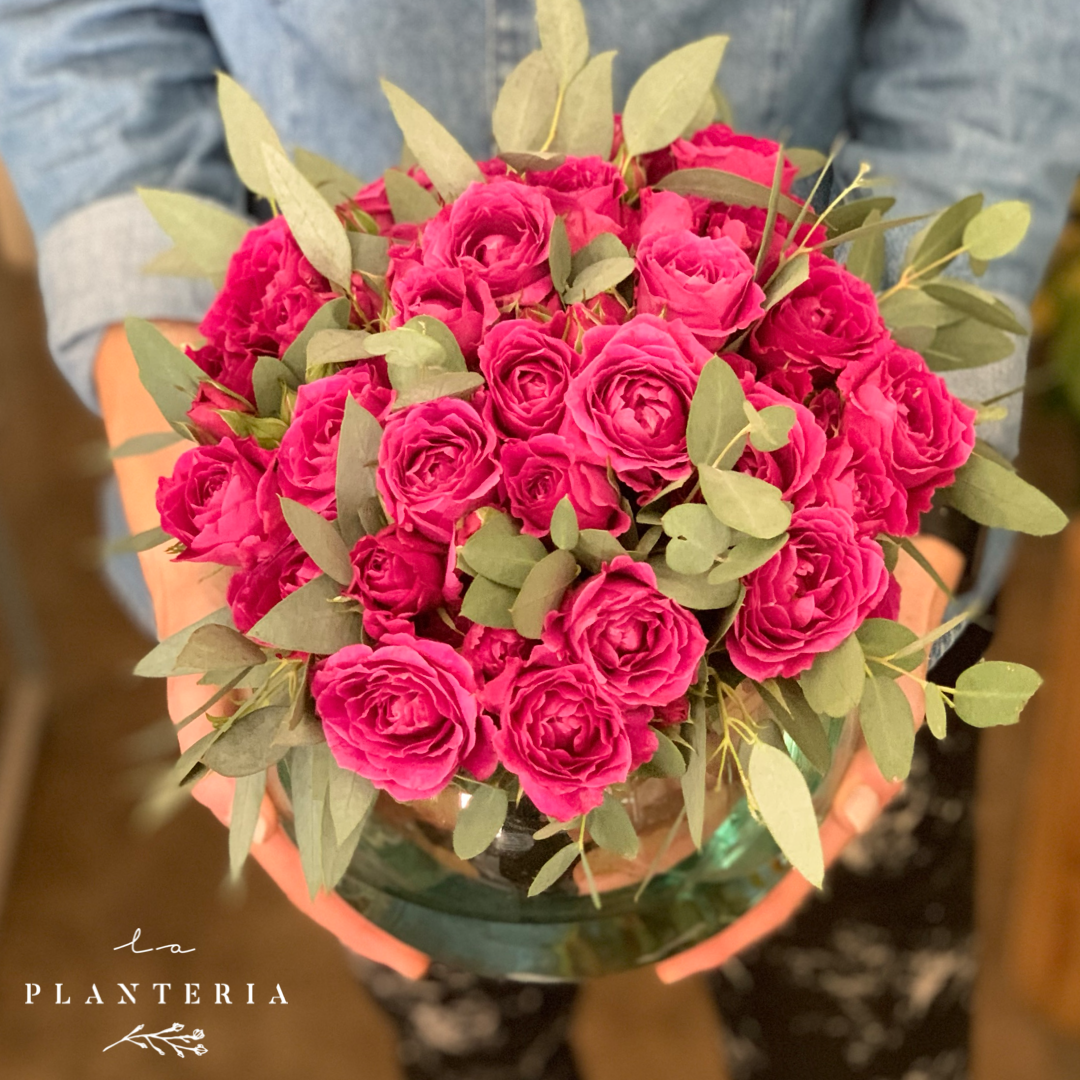 mini rosas en pecera