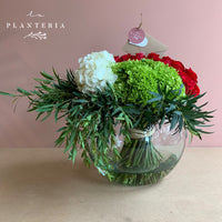 48 & more red, white, green (5779285868694)