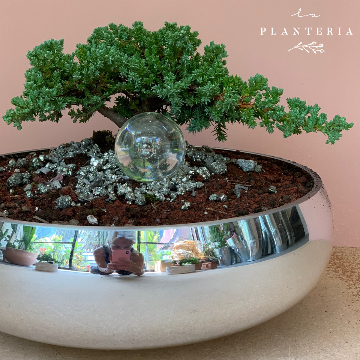 Silver Bonsai (5829646745750)