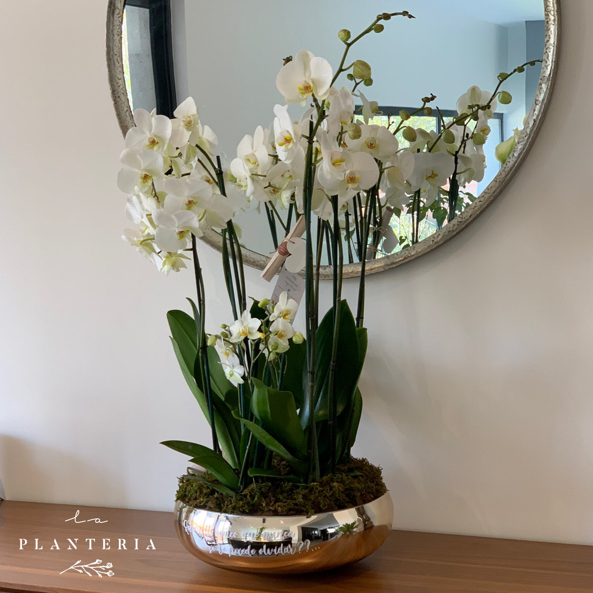 The Big Gold Orchid (6554664829122)