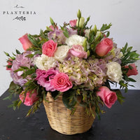 The basquet love ch (6801616666818)