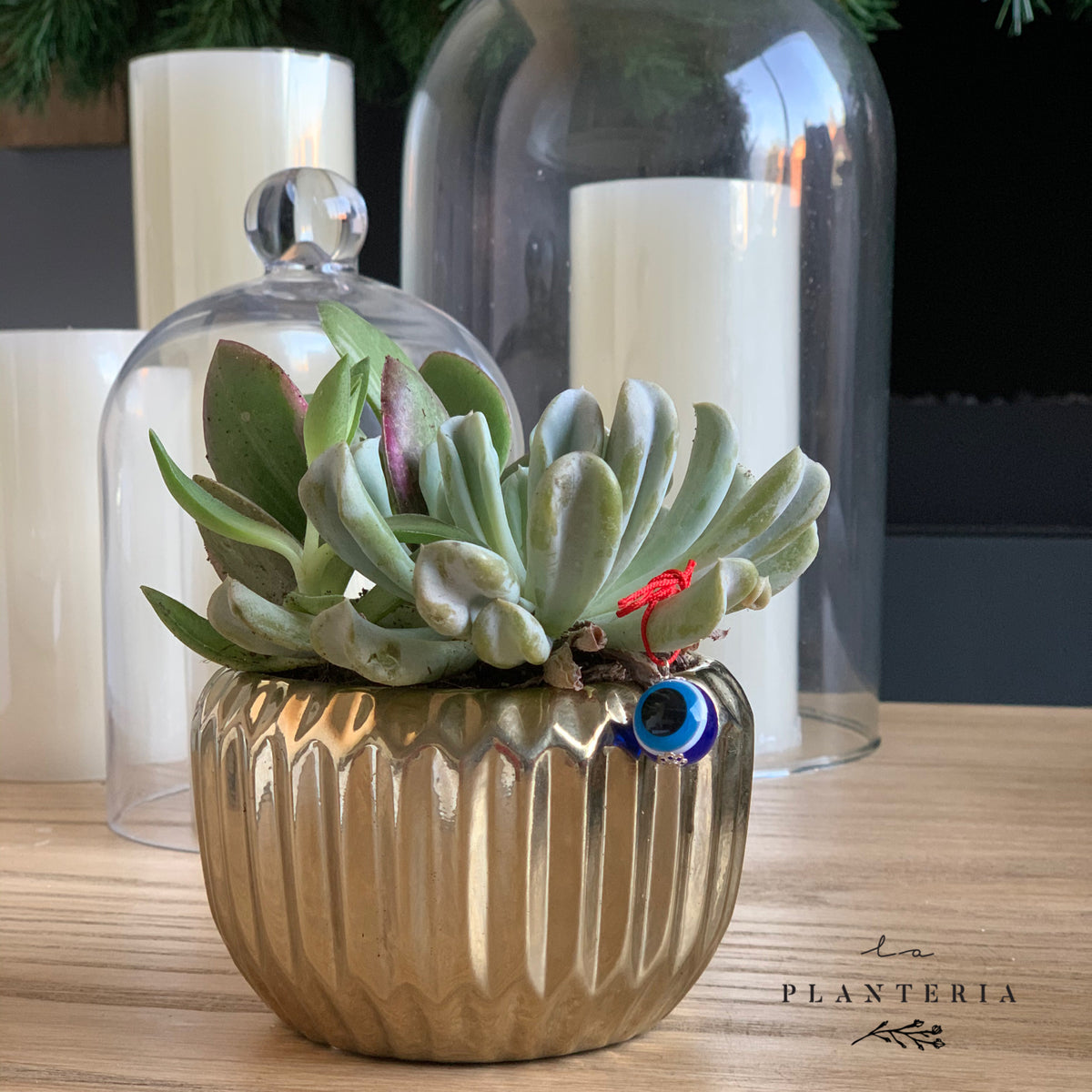 Gold & suculent (6101120614594)