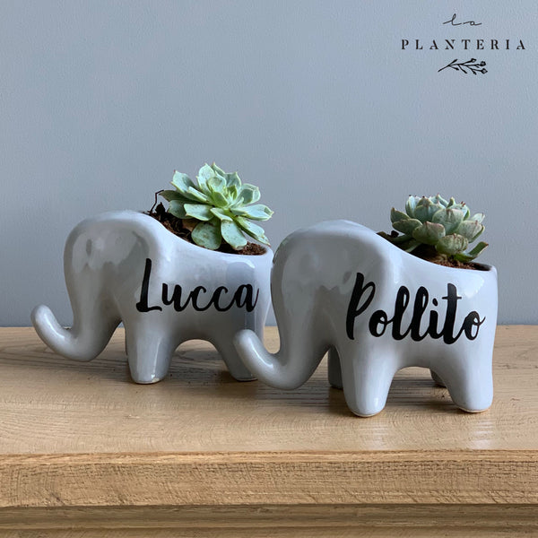 Elefantito Ceramica (6233232015554)