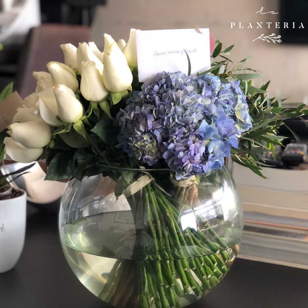 48 & more white, purple blue , green (6178864791746)