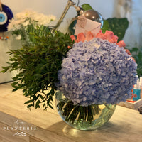 48 roses & more, pink, purple blue y partifolia (6799664677058)