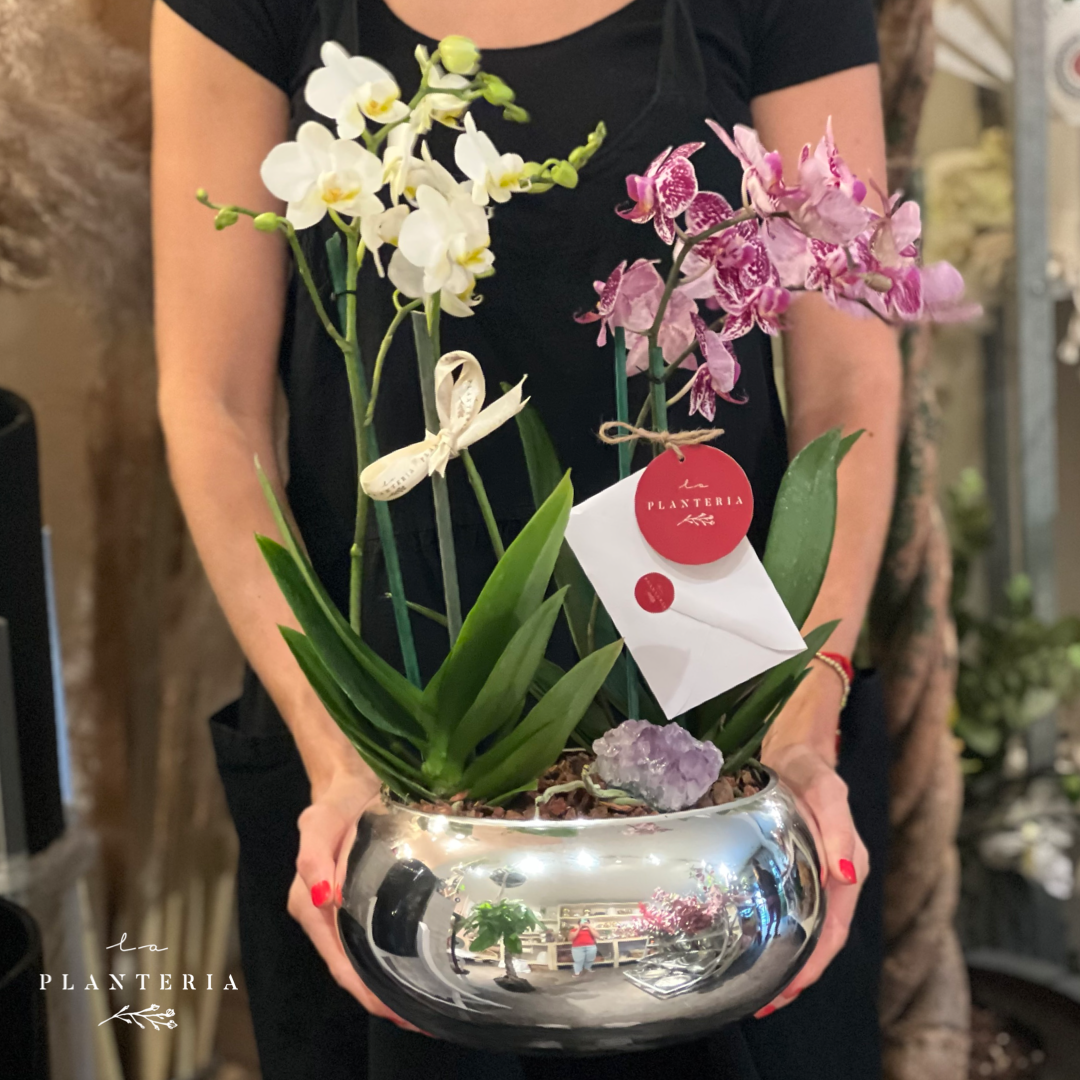 Shine Double l♡︎ve