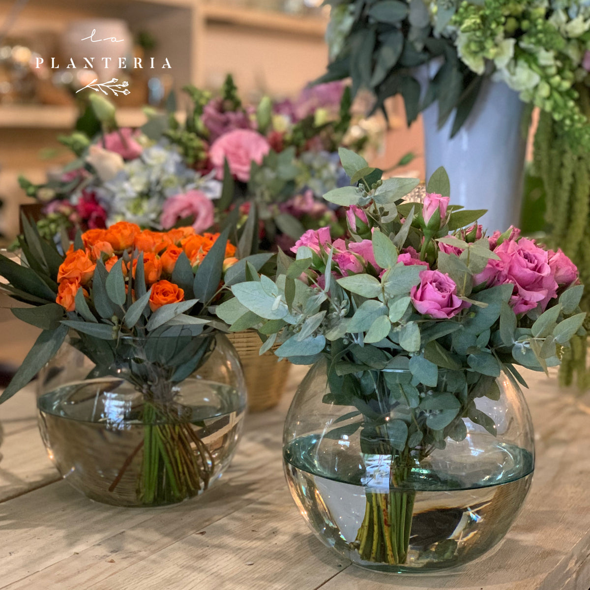 mini rosas en pecera (6674079875266)