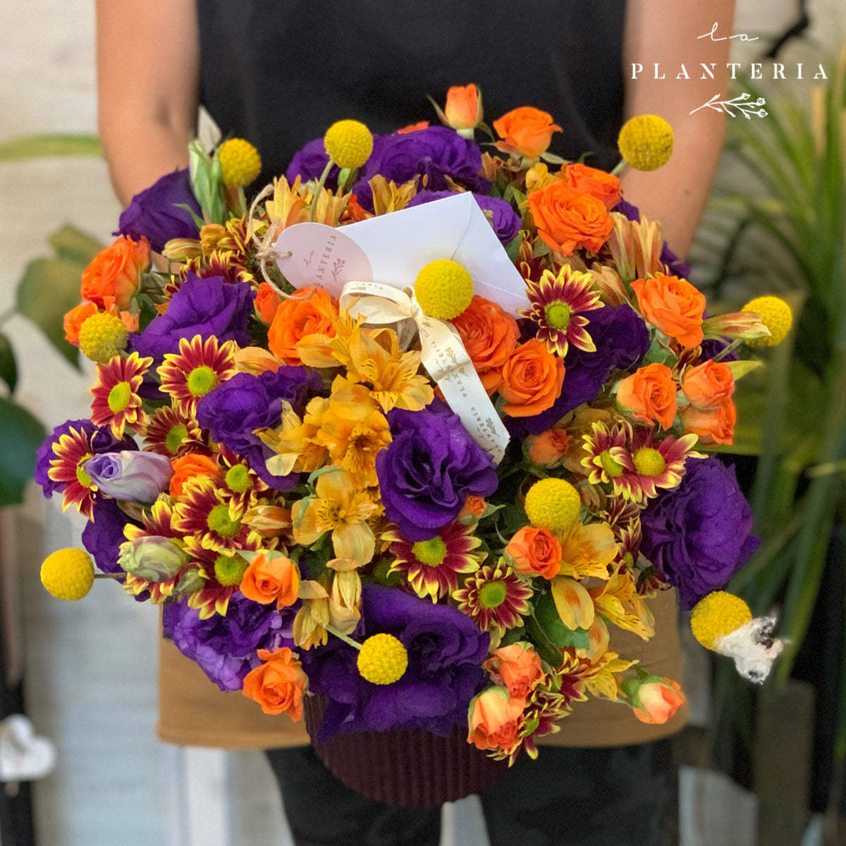 Summer (6884538450114)