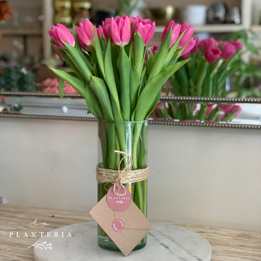 20 tulips en cilindro