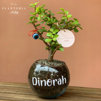 Glass fullness (6146879226050)