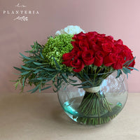 48 & more red, white, green (5779285868694)