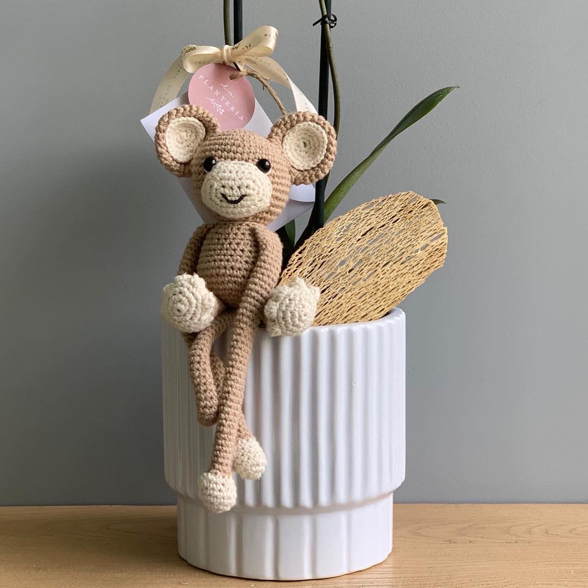 hugging monkeys (6775370645698)