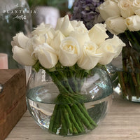 24 rosas en pecera (6770558894274)