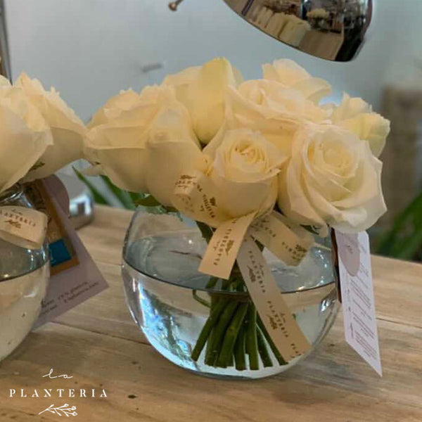 12 rosas en pecera (6920341848258)