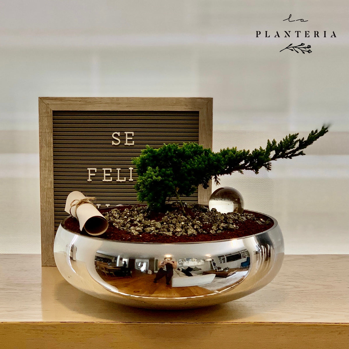 Silver Bonsai (5829646745750)