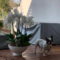 The Big One (5743950299286)