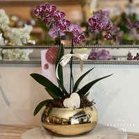 Shine mini l♡︎ve