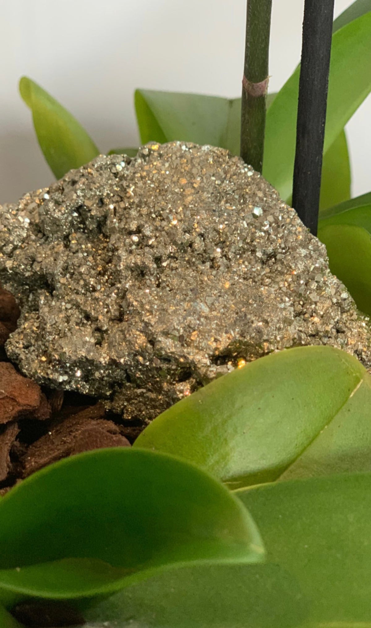 Piedra pirita (6098526077122)