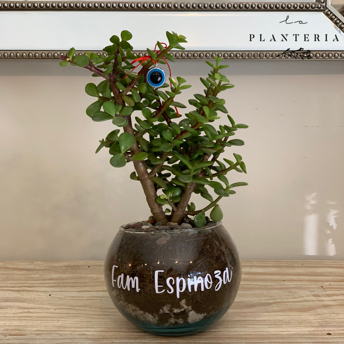 Glass fullness (6146879226050)