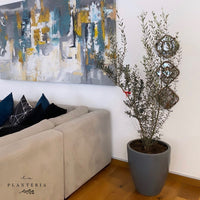 Olivo + fibra (6039193682114)