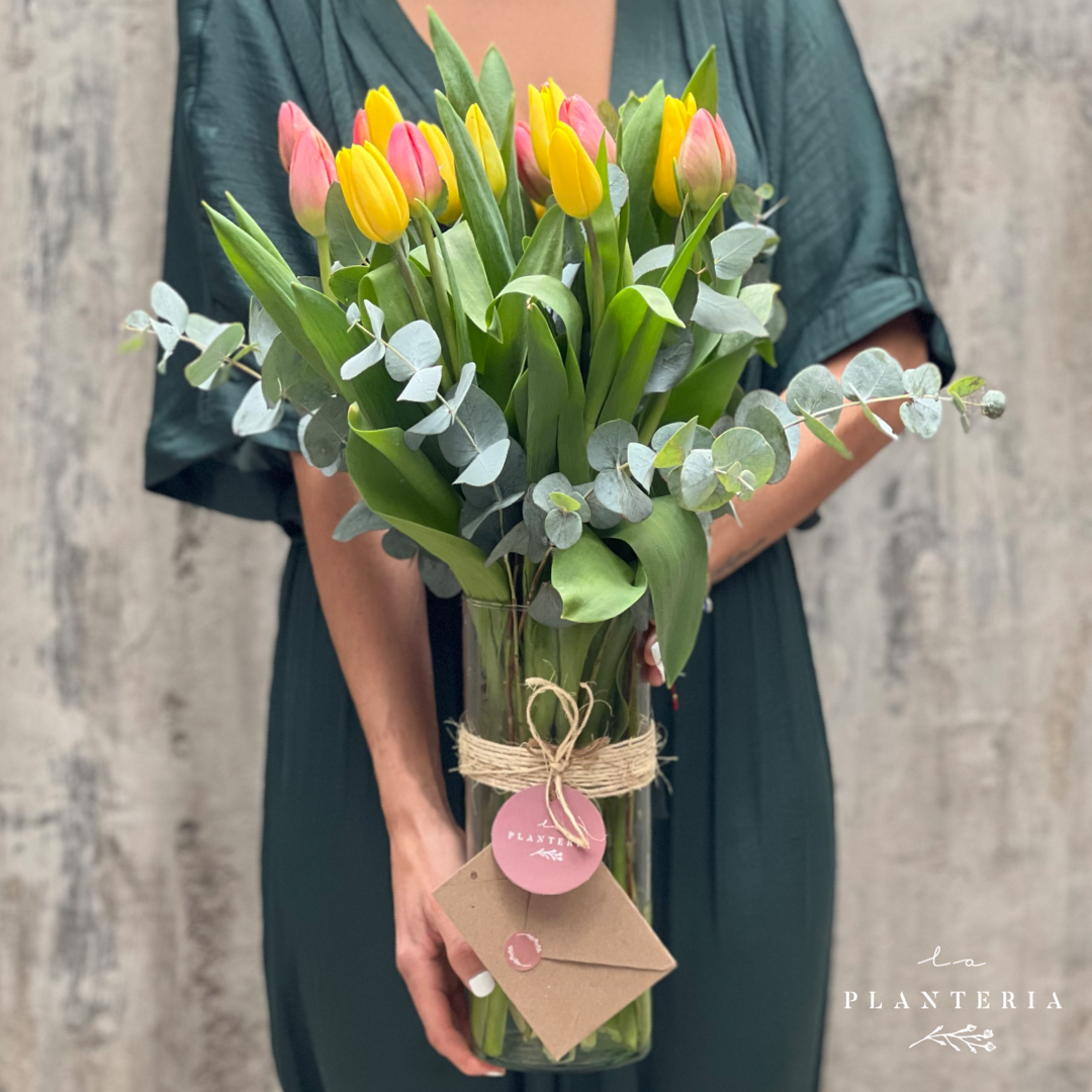 20 tulips en cilindro