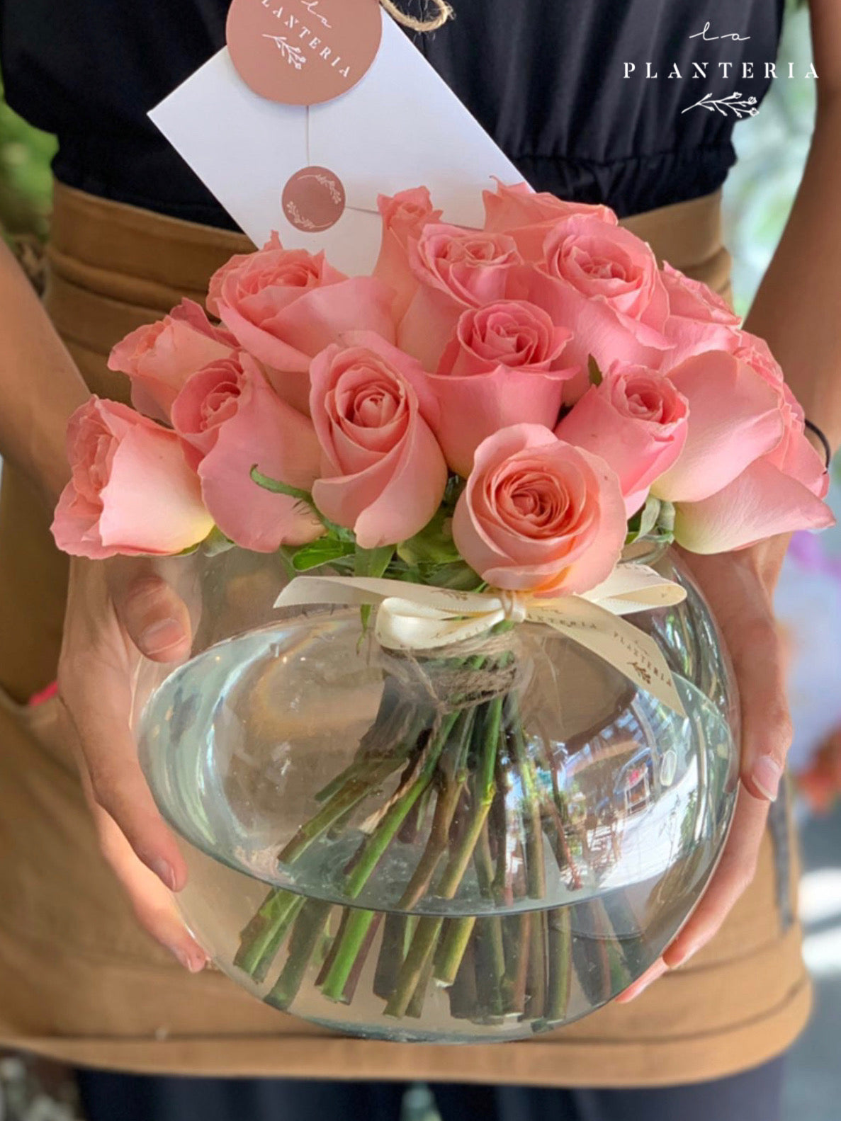 24 rosas en pecera (6770558894274)