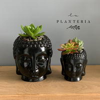 Black Budas (5782698950806)