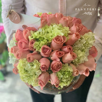 Cotton candy fishbowl 50