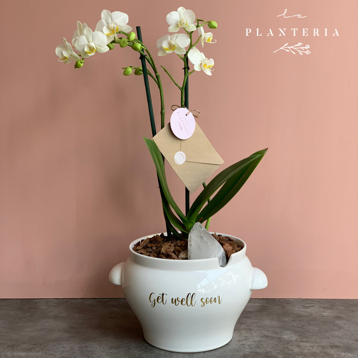 The Soup Plate + White Quartz + Name (5744135438486)