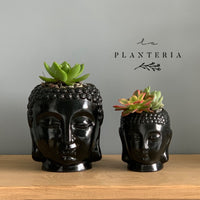 Black Budas (5782698950806)