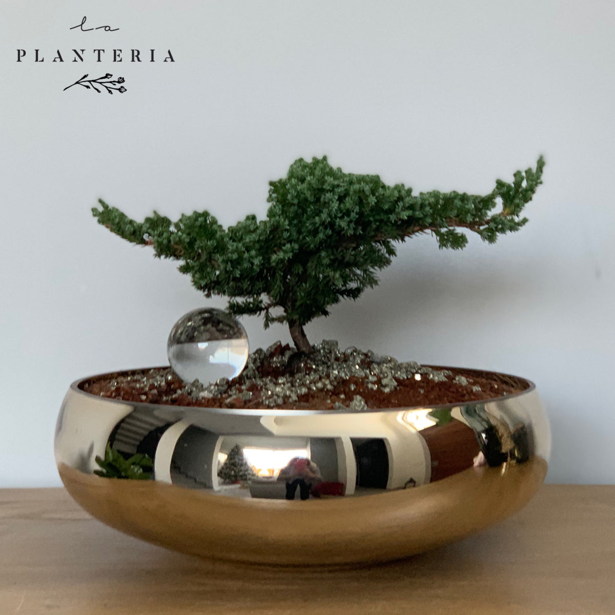 Gold Bonsai (6120410382530)