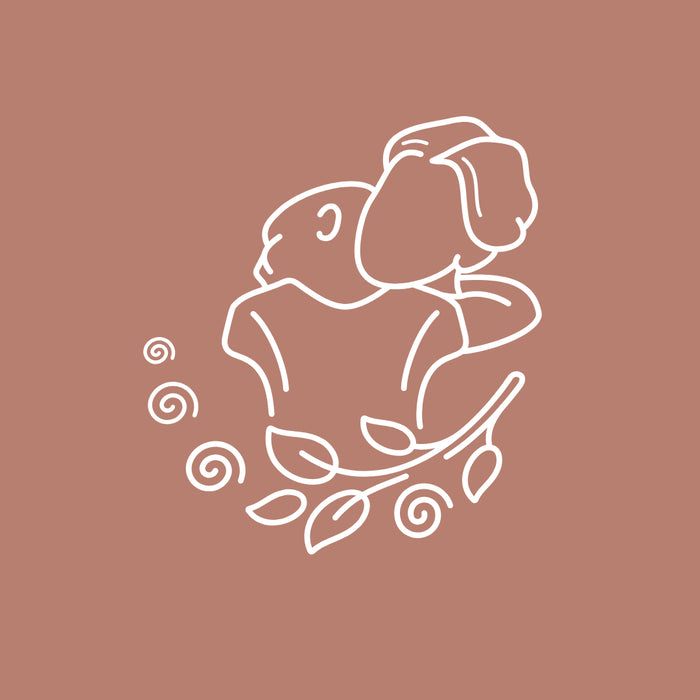 Mother´s Bloom 2025
